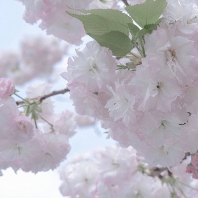 仁怀FurryQQ群介绍